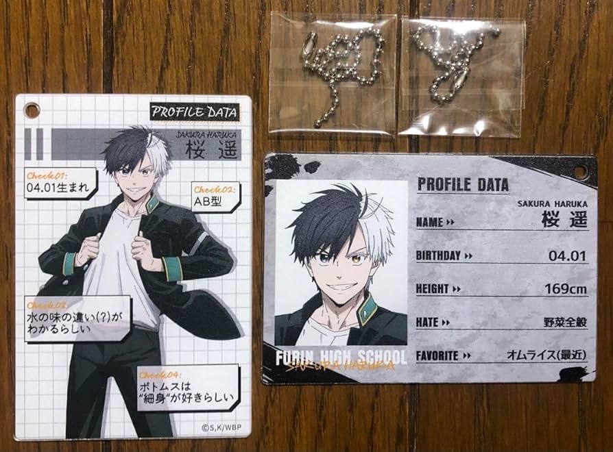 Amazon.co.jp: ウィンドブレイカー プロフィールカード 桜遥 : おもちゃ